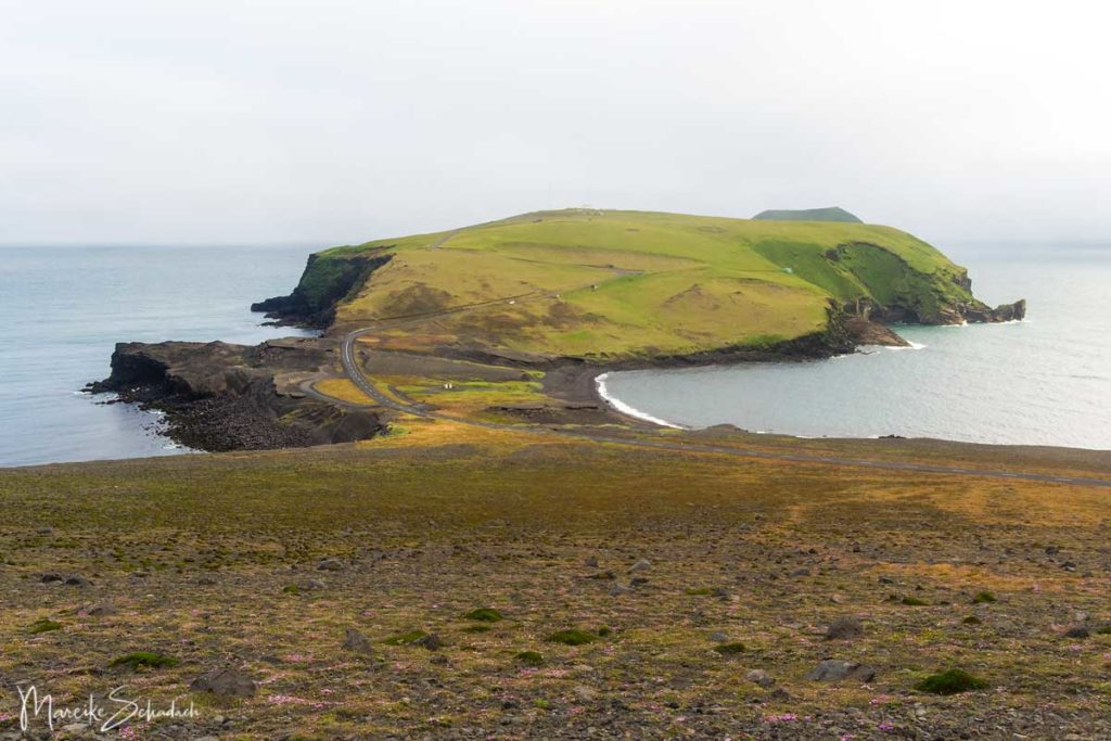 Wanderung zum windigsten Ort in Island – Kap Stórhöfði auf den Westmännerinseln