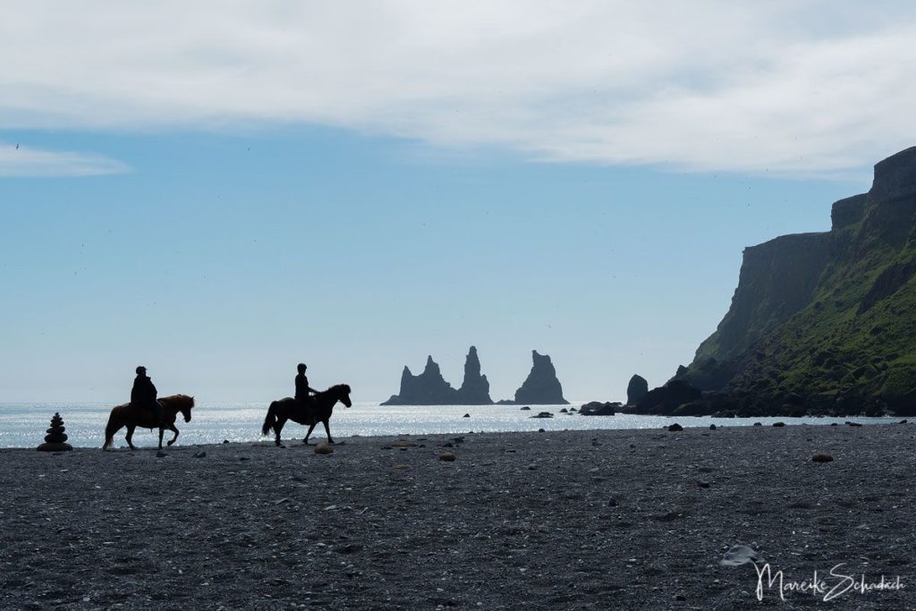 Warum ihr auf Island ein Islandpferd reiten solltet