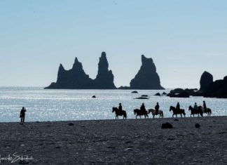 Why you should ride an Icelandic Horse in Iceland Warum ihr auf Island ein Islandpferd reiten solltet