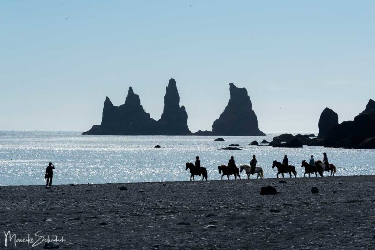 Warum ihr auf Island ein Islandpferd reiten solltet