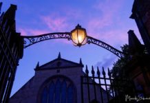 Dead Dog and Poltergeist - Greyfriars Graveyard in Edinburgh Toter Hund und Poltergeist – Greyfriars Friedhof in Edinburgh