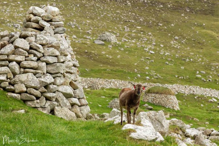 St. Kilda – Reisetipps für die einsamste Insel Britanniens
