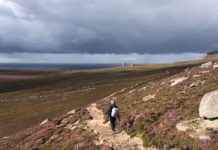 Orkney Inseln: Sehenswertes und Tipps für euren Roadtrip mit Zelt Orkney Inseln: Sehenswertes und Tipps für euren Roadtrip mit Zelt