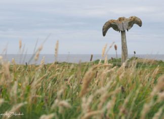 Mysterious Whalebone Sculpture of the Orkneys Rätselhafte Whalebone-Skulptur der Orkneys
