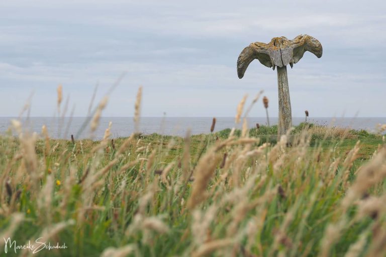 Rätselhafte Whalebone-Skulptur der Orkneys