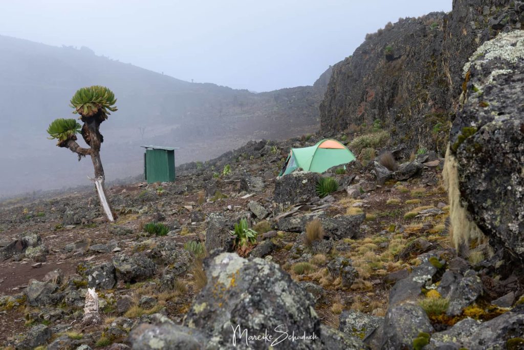 Mount Kenya - Chogoria-Sirimon Route zum Point Lenana - Camp Mintos