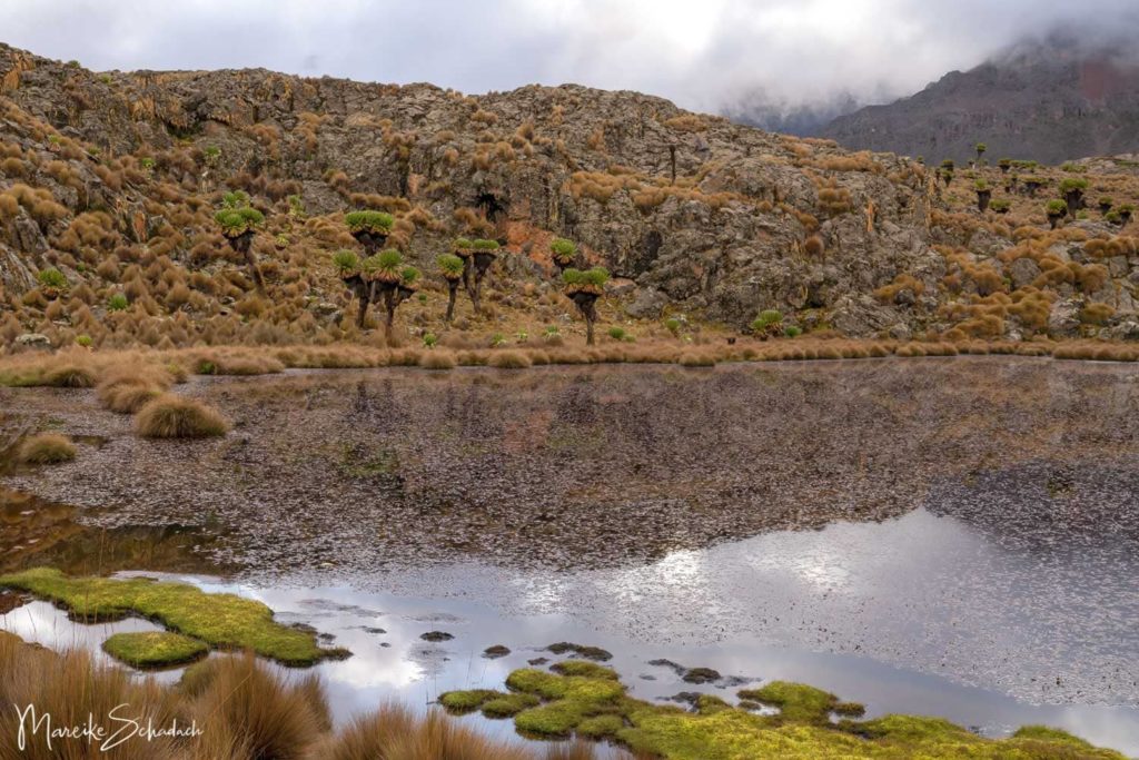 Mount Kenya Lenana - Kratersee am Mintos Camp