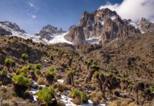 Mount Kenya - high up on Point Lenana Mount Kenya – hoch hinaus auf den Point Lenana