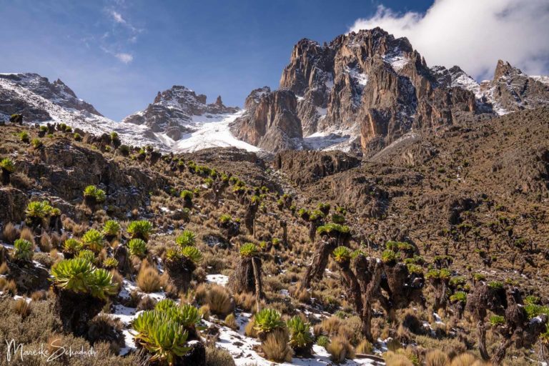 Mount Kenya – hoch hinaus auf den Point Lenana