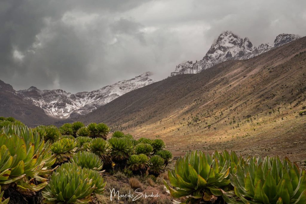 Mount Kenya - Chogoria-Sirimon Route zum Point Lenana