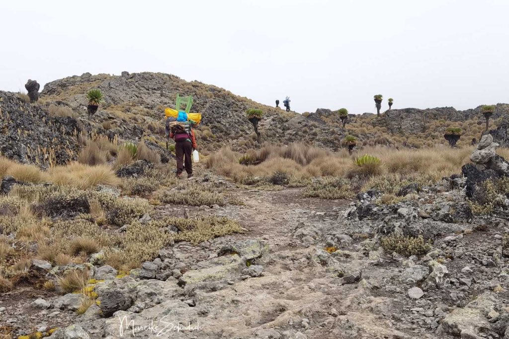 Besteigung des Point Lenana, Mount Kenya