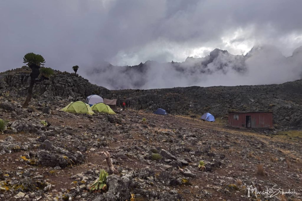 Mount Kenya Lenana - Mintos Camp