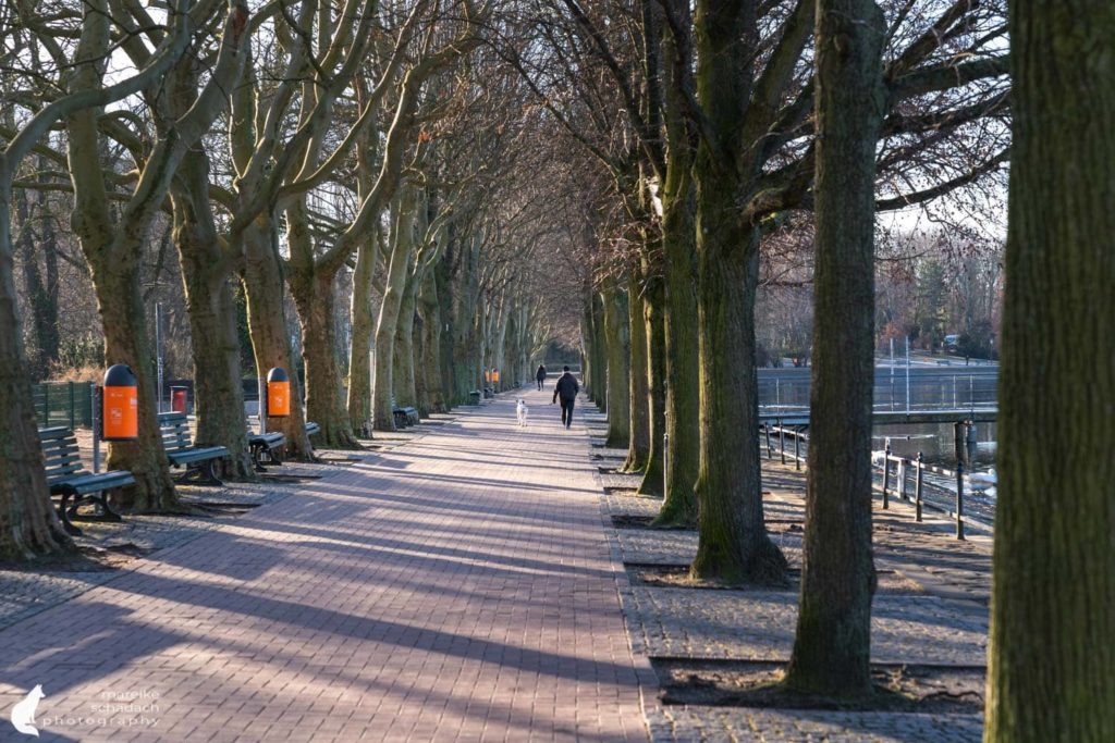 Morgens an der Greenwichpromenade