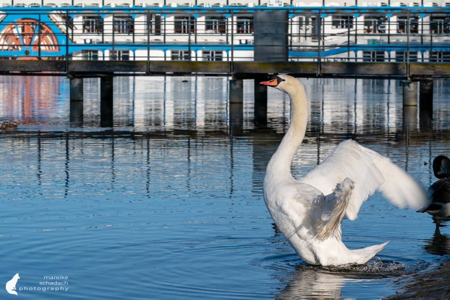 Grünes Berlin Ausflugstipp Greenwichpromenade und