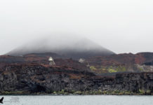 Highlights einer Bootstour um die Westmännerinsel Heimaey