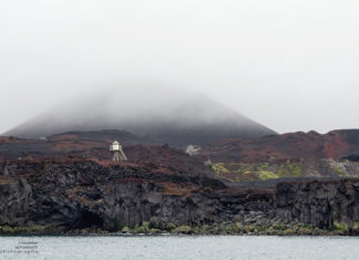 Highlights of a Boat Trip around the Westman Island Heimaey