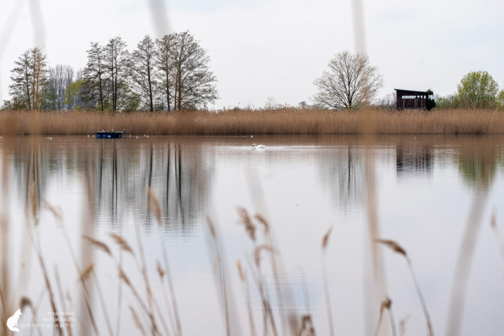 Teichlandschaft und Birdwatching Turm Linum