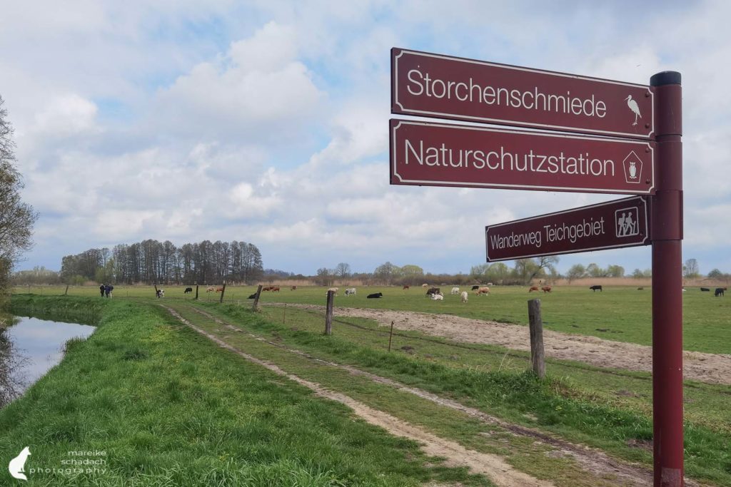 Wanderweg zum Birdwatching von Störchen und Kranichen rund ums Storchendorf Linum