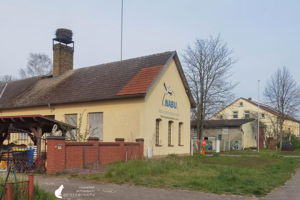 Storchenschmiede Linum