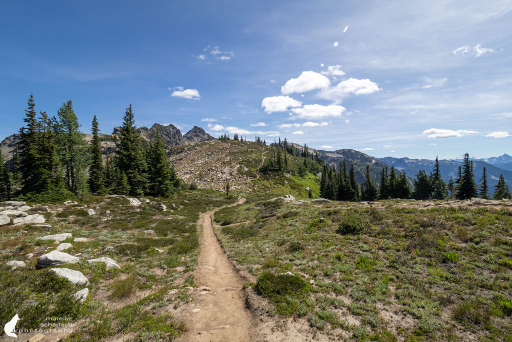 Pass am Maple Pass Loop bei den North Cascades