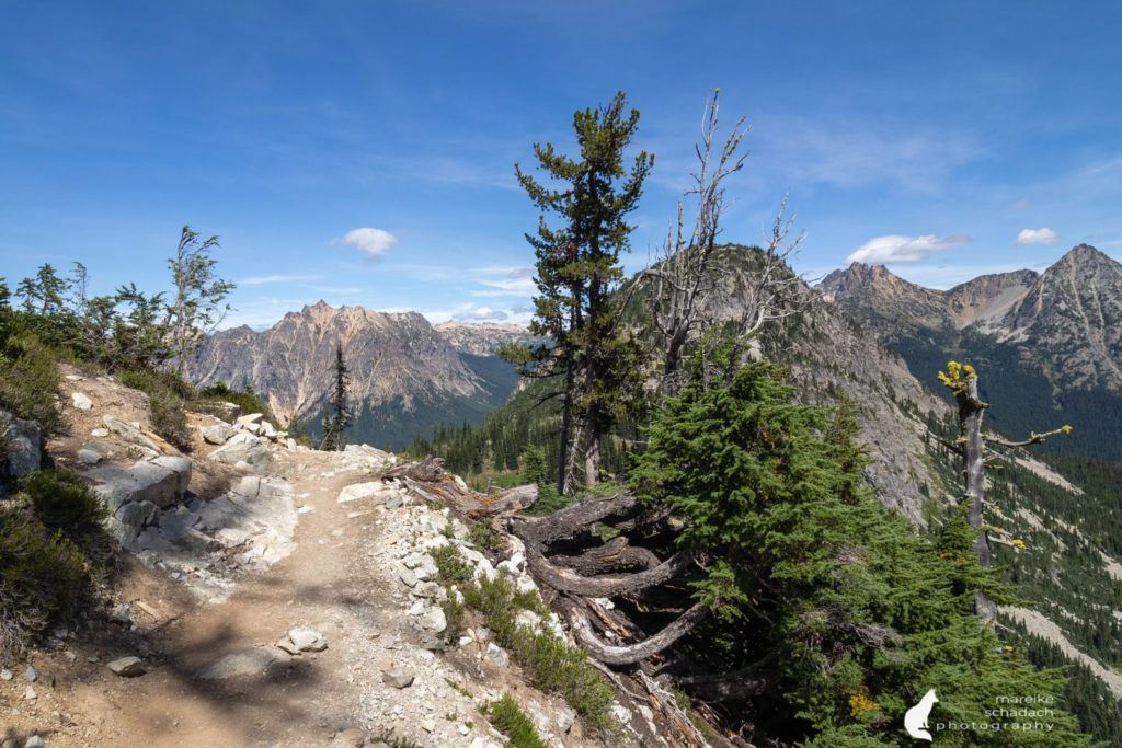 Maple Pass Loop bei den North Cascades