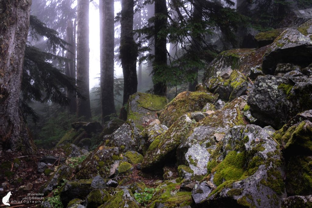 Mount Pilchuck 