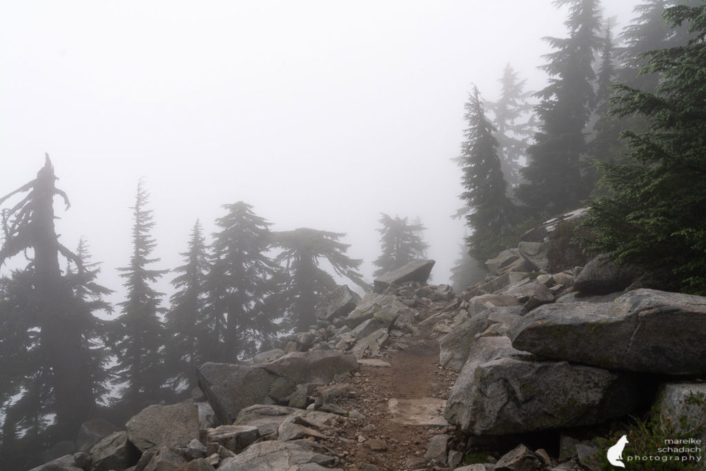 Hiking trail to Mount Pilchuck Fire Lookout