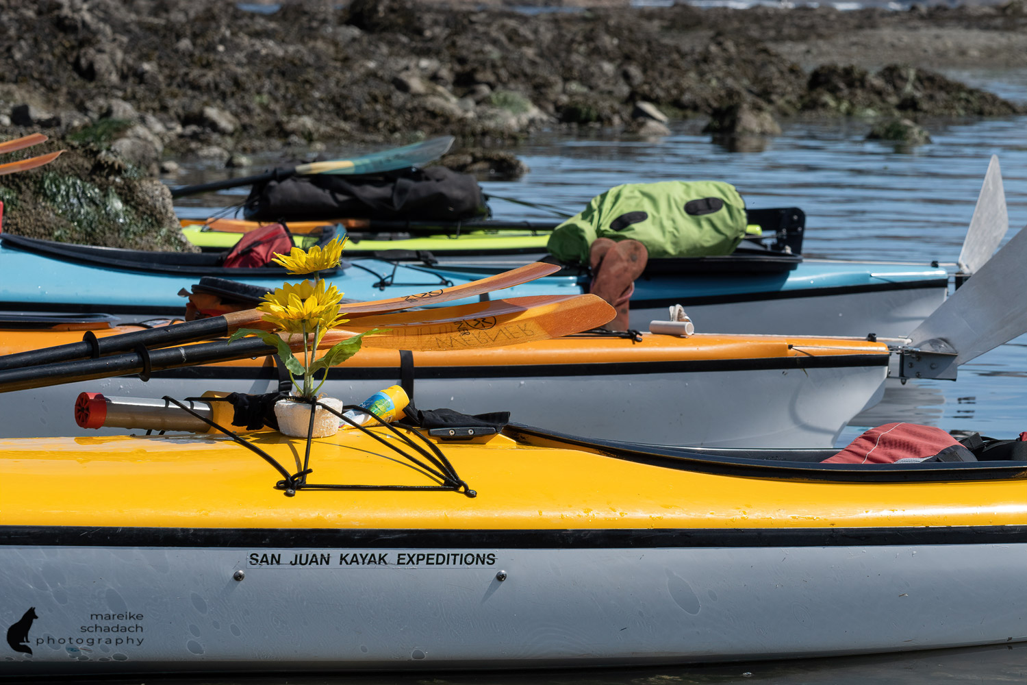 Kajaks bei unserer Kajaktour bei den San Juan Islands