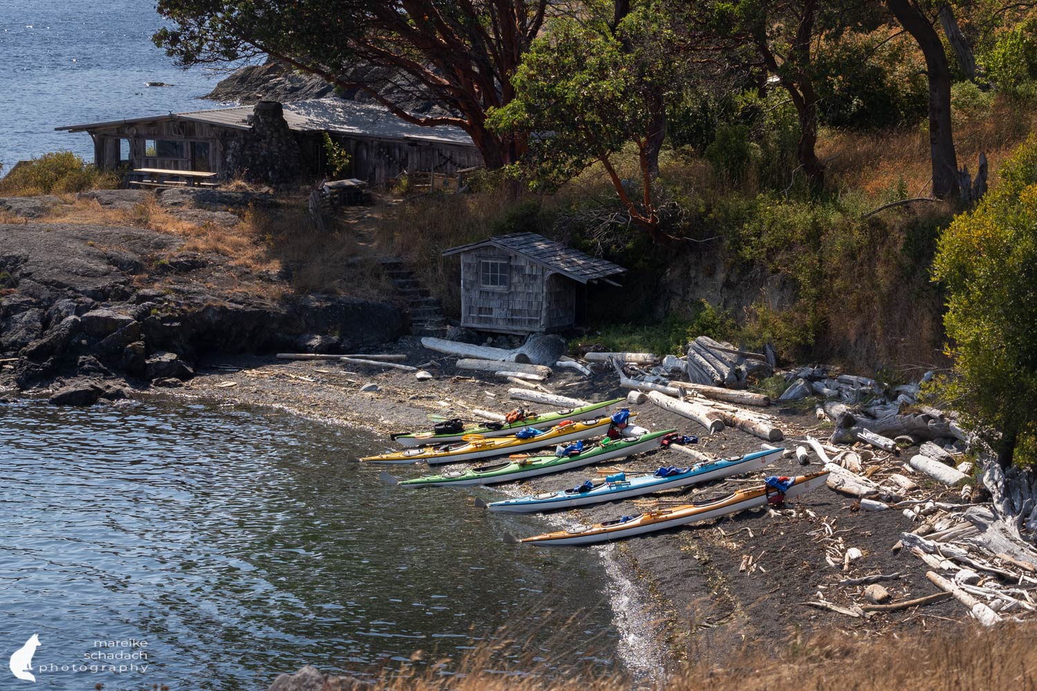 Rast bei unserer Kajaktour bei den San Juan Islands