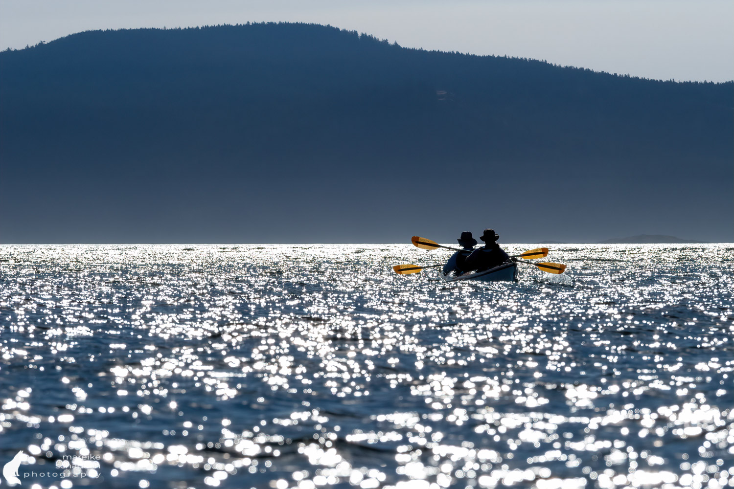 Kajaktour San Juan Islands