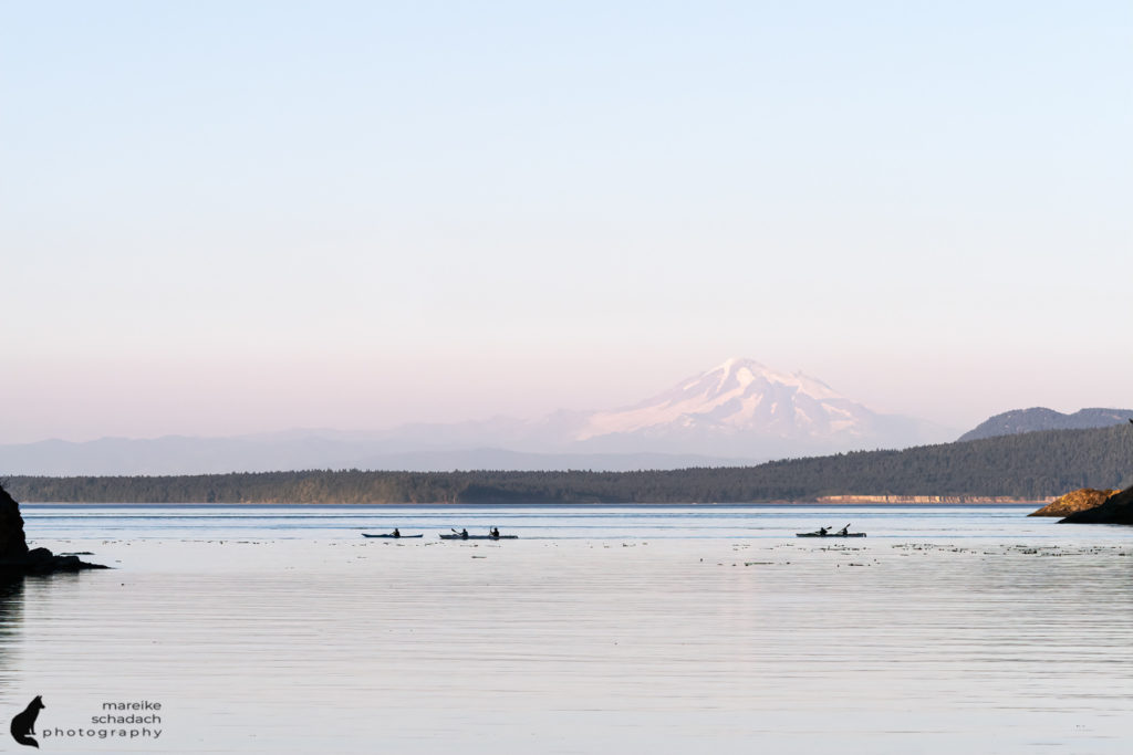 Kajaktour bei den Orcas der San Juan Islands