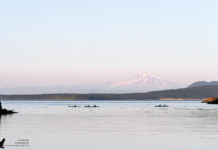 Kayak Tour at the Orcas of the San Juan Islands Kajaktour bei den Orcas der San Juan Islands