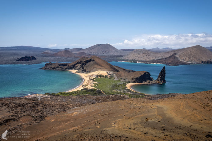 Galapagos Insel Bartolome – Mondlandschaft mit Pinguinen
