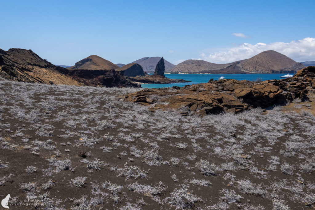 karge Vulkanlandschaft der Galapagos Insel Bartolome