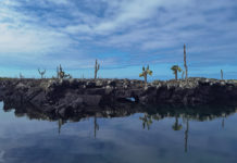 Los Tuneles und Cabo Rosa: Schnorcheln an den Lavatunneln von Galapagos Los Tuneles Galapagos