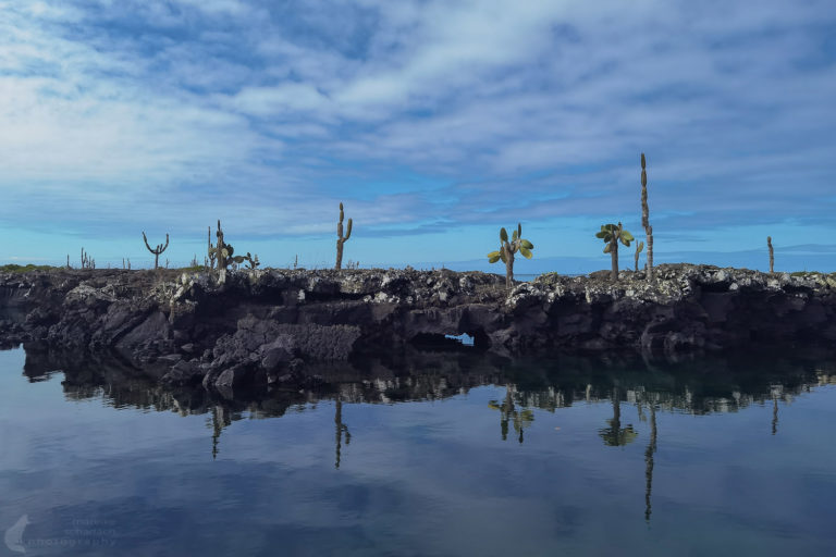 Los Tuneles Galapagos