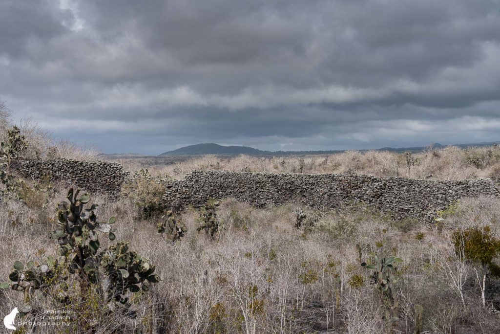 Muro de las Lagrimas Isla Isabela