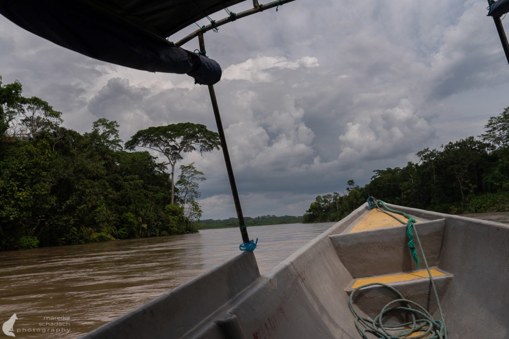 Mit dem Kanu durch das Amazonas Gebiet von Ecuador