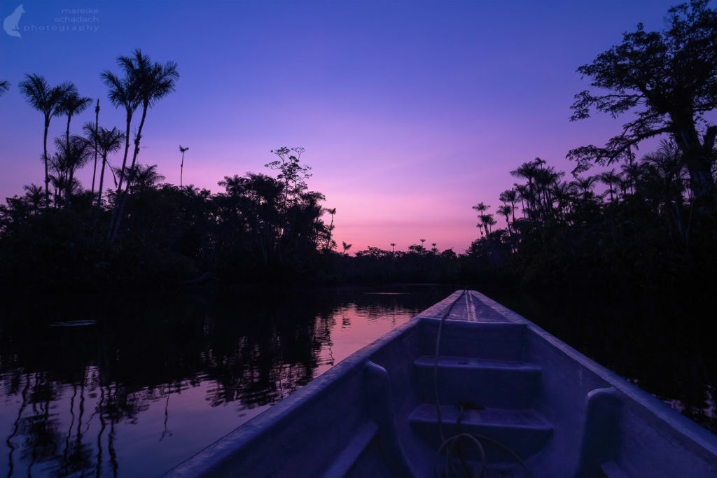 nachts mit dem Kanu im Amazonas von Ecuador