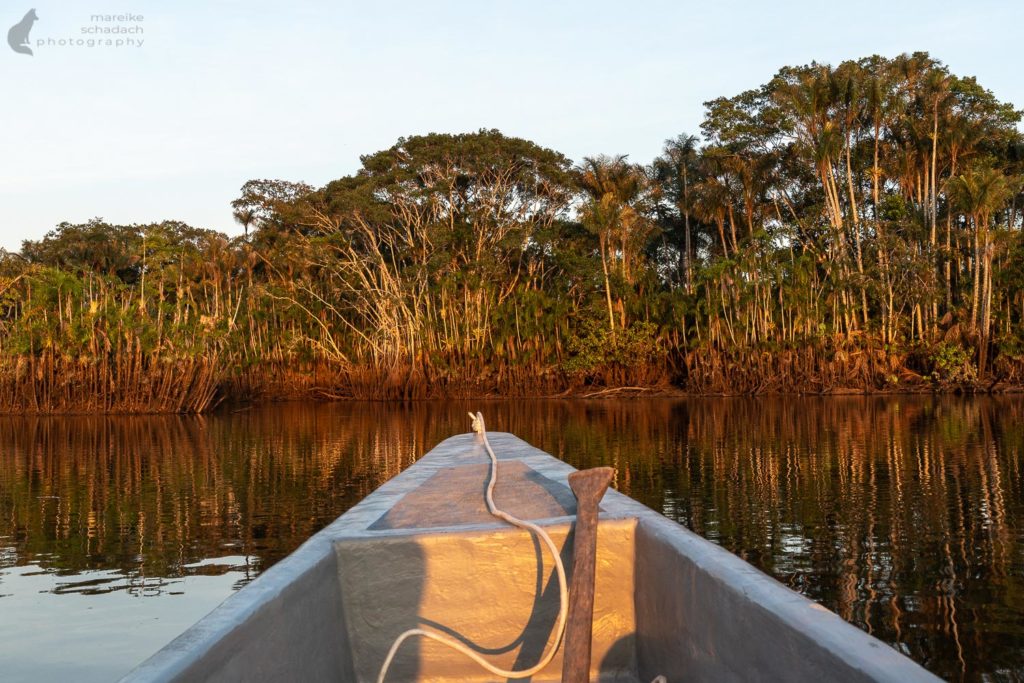 mit dem Kanu im Amazonas Gebiet von  Ecuador