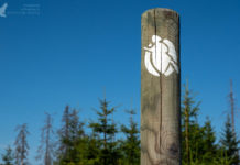 Harzer Hexenstieg – Highlights und Tipps für 100 km wandern im Harz Hexenstieg Harz