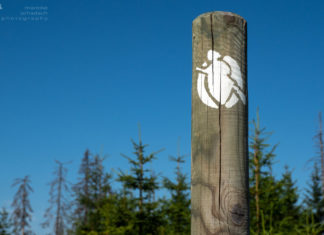 Harzer Hexenstieg – Highlights und Tipps für 100 km wandern im Harz Hexenstieg Harz