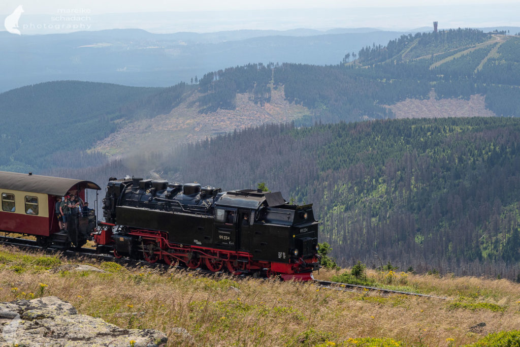 Brockenbahn am Hexenstieg im Harz