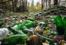 Lost Place Glashütte Haidemühl: Birch, Glass and Potassium Carbonate