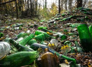 Lost Place Glashütte Haidemühl: Birken, Glas und Kaliumcarbonat