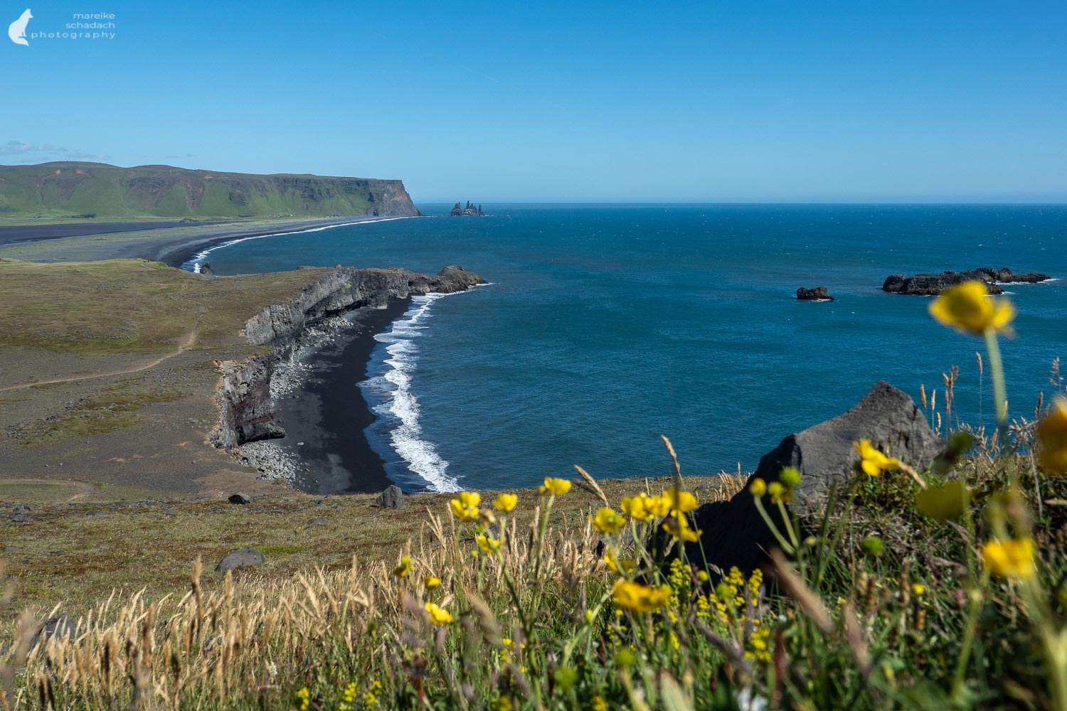 Blick auf den Reynisfjara Strand von Dyrholaey bei Vìk