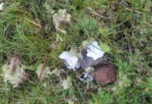 Shit happens! Kleiner Guide für das große Geschäft in der Natur