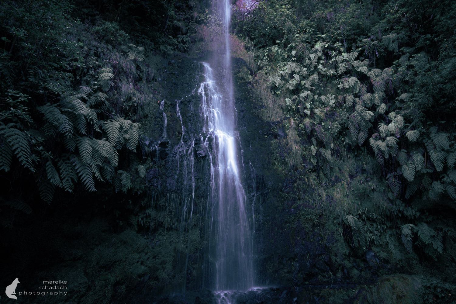 Fotolocation Levada do Caldeirão Verde mit Wasserfall, Madeira