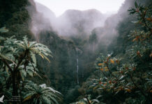 Madeira fotografieren – die besten Fotolocations für Naturfreunde Madeira fotografieren – die besten Fotolocations für Naturfreunde