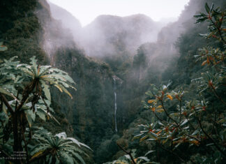 Photographing Madeira – the best Photo Locations for Nature Lovers Madeira fotografieren – die besten Fotolocations für Naturfreunde